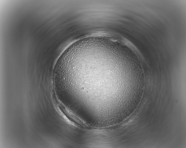 X0000067480852200604101227