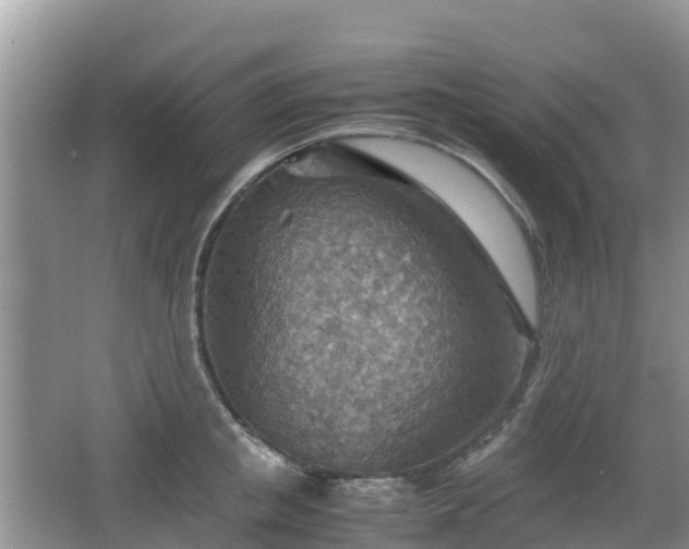 X0000067480853200604101227