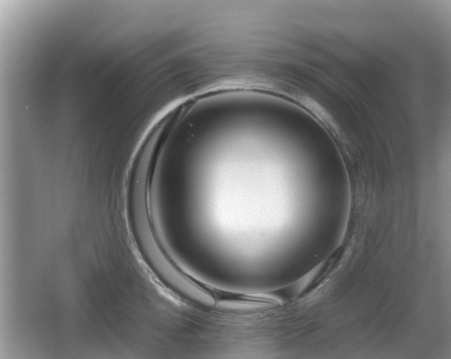 X0000067480854200604101227