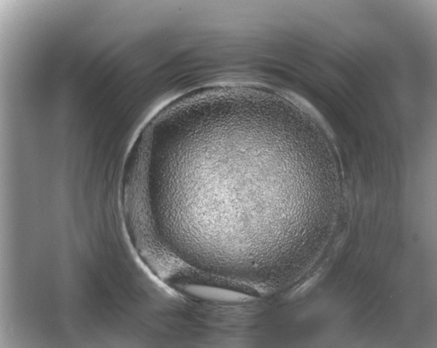 X0000067480855200604101227