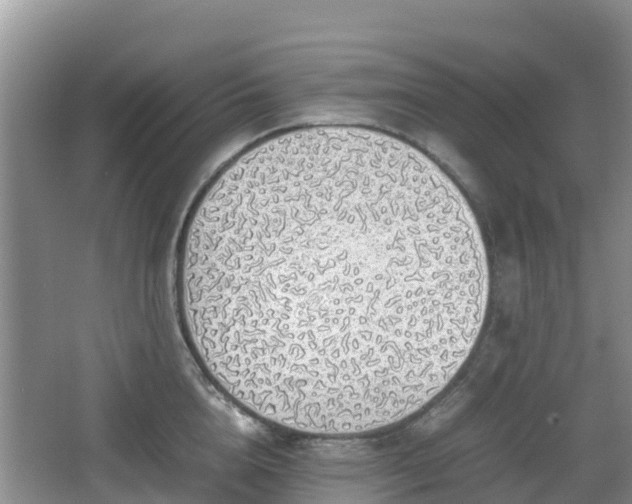 X0000067480856200604101227