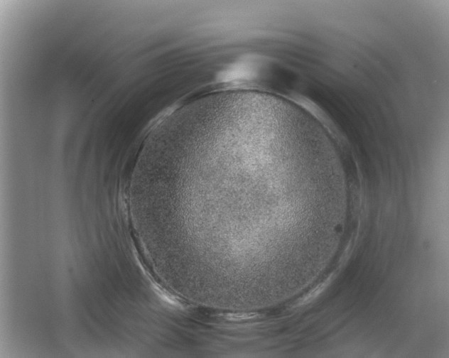 X0000067480857200604101227