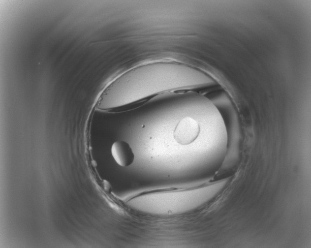 X0000067480858200604101227