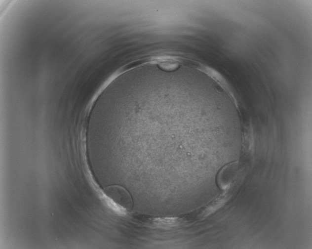 X0000067480859200604101227