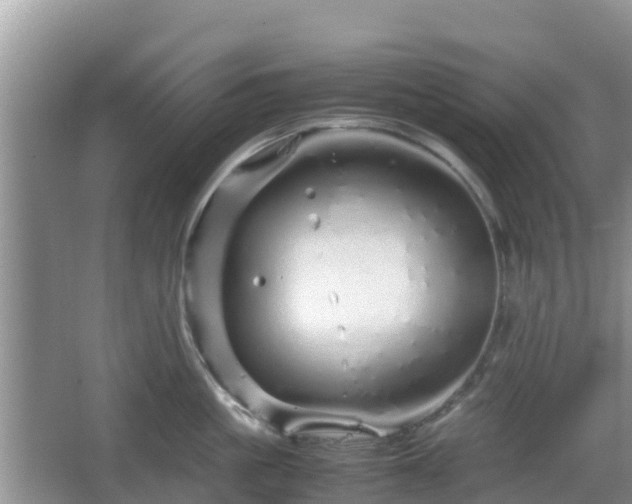 X0000067480861200604101227