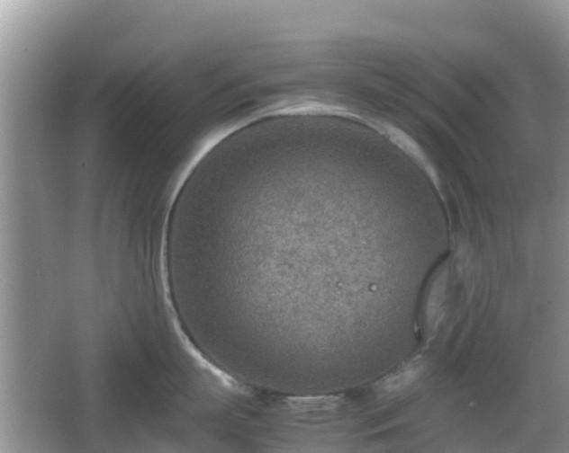 X0000067480863200604101227