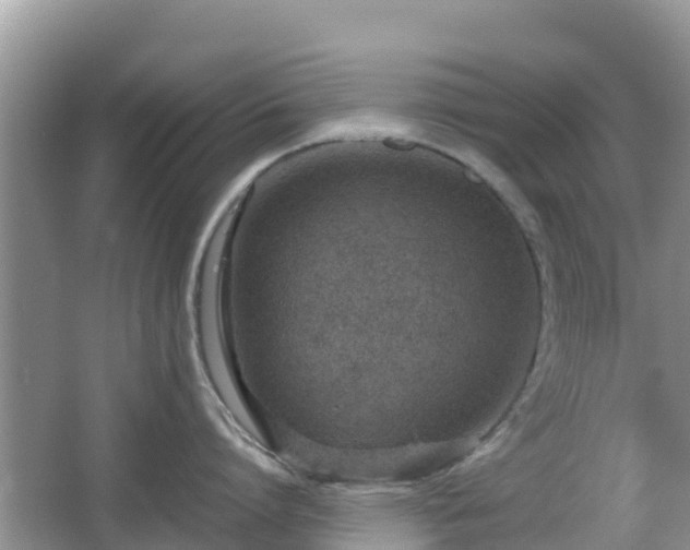 X0000067480864200604101227