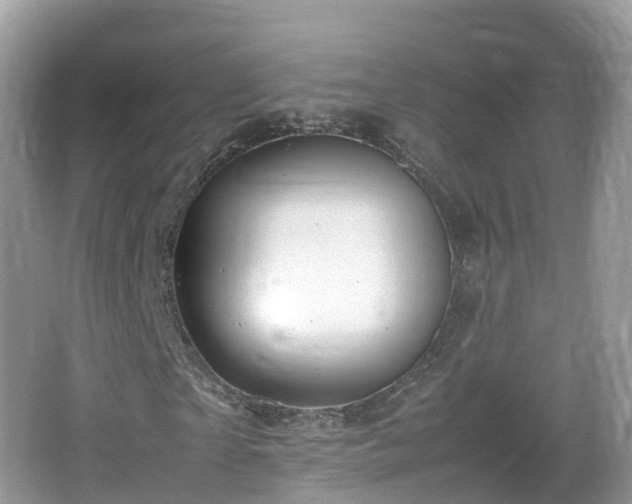 X0000067480865200604101227