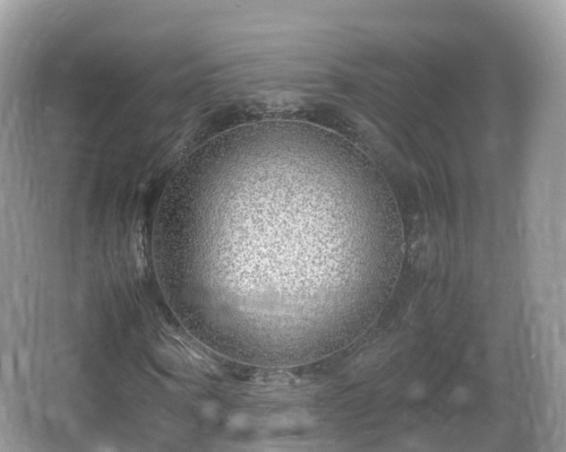 X0000067480866200604101227