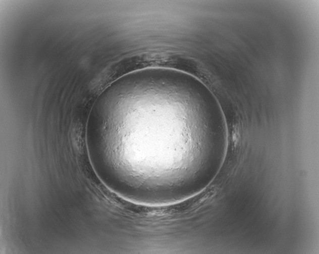 X0000067480867200604101227