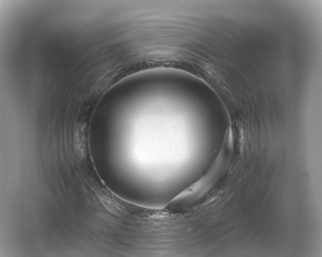 X0000067480868200604101227