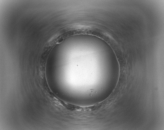 X0000067480869200604101227