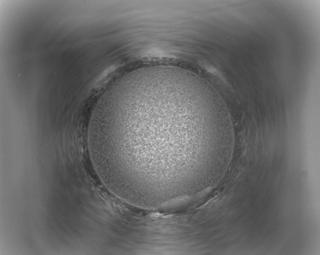 X0000067480870200604101227