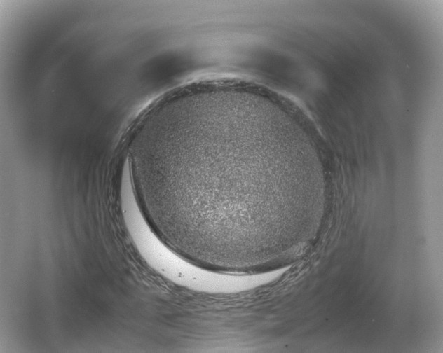 X0000067480871200604101226