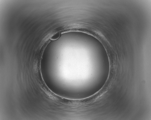 X0000067480873200604101226