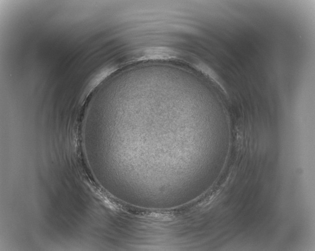 X0000067480874200604101226