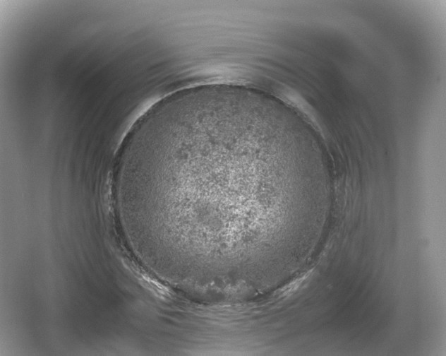 X0000067480875200604101226