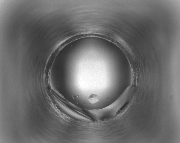 X0000067480876200604101226