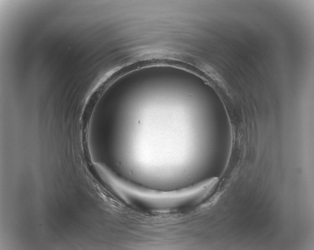 X0000067480877200604101226