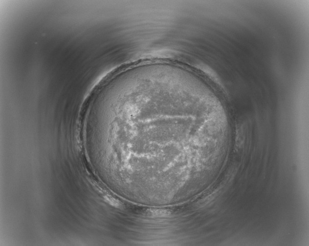 X0000067480878200604101226