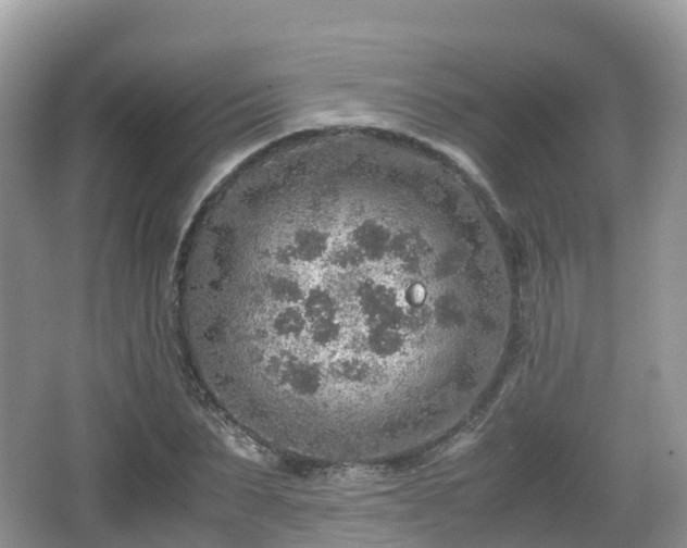 X0000067480879200604101226