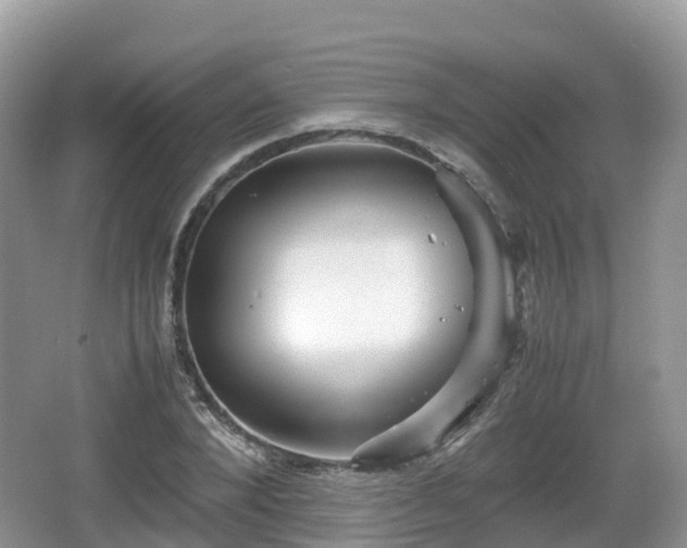 X0000067480880200604101226