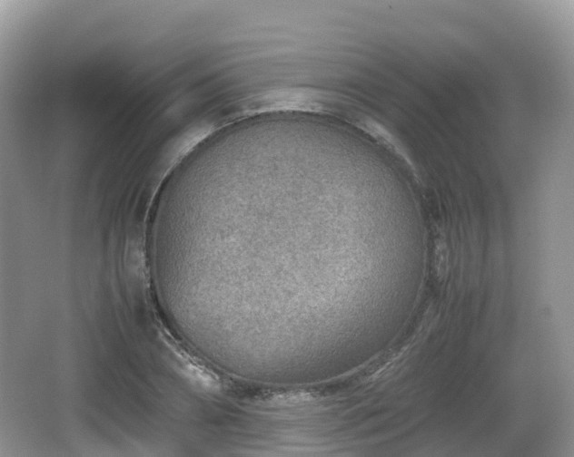 X0000067480882200604101226