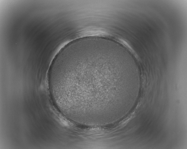 X0000067480883200604101226