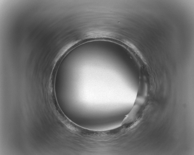 X0000067480885200604101226