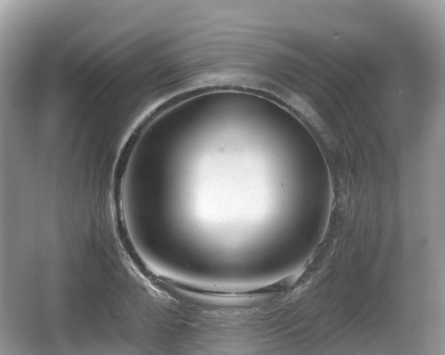 X0000067480888200604101226