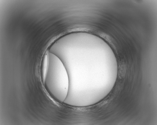 X0000067480890200604101226