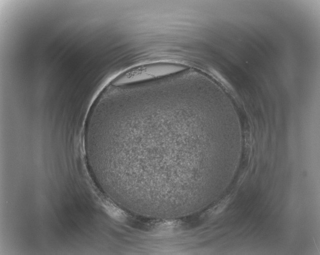 X0000067480891200604101226