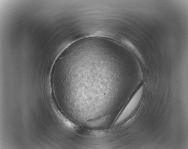 X0000067480892200604101226