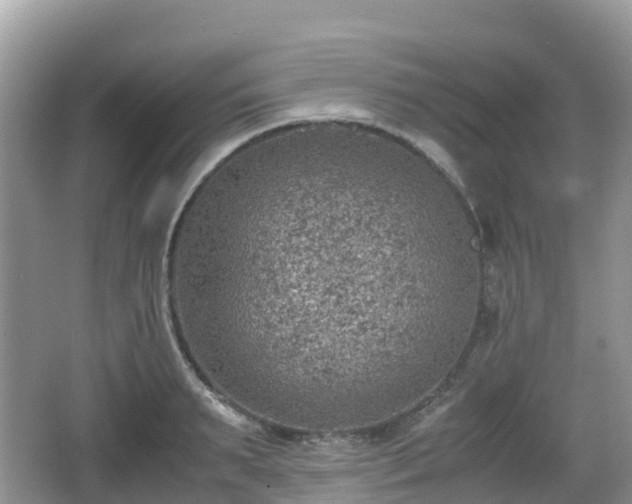 X0000067480895200604101226