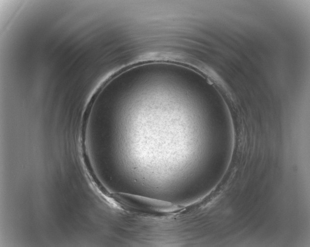 X0000067480896200604101226