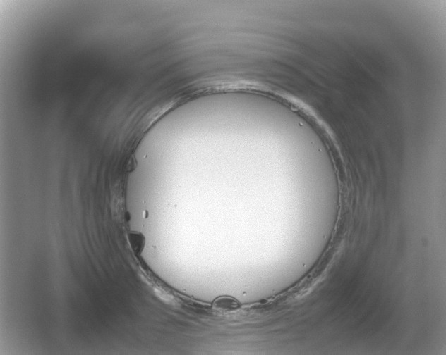 X0000067480897200604101226