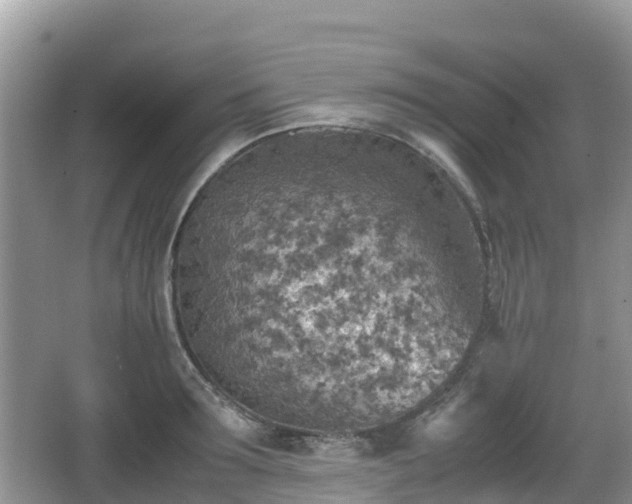 X0000067480899200604101226