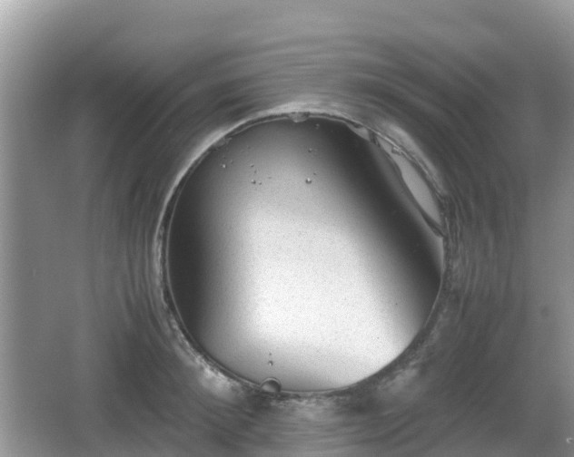 X0000067480900200604101226