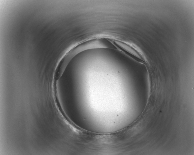 X0000067480902200604101226