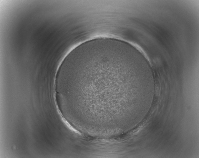 X0000067480903200604101226