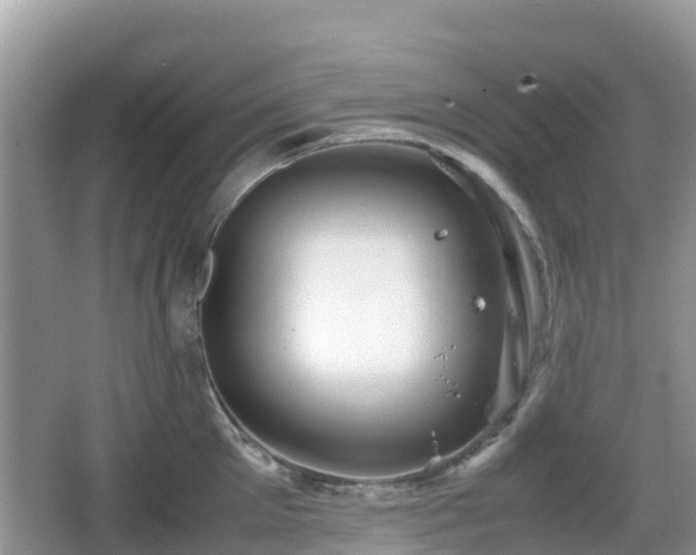 X0000067480905200604101226