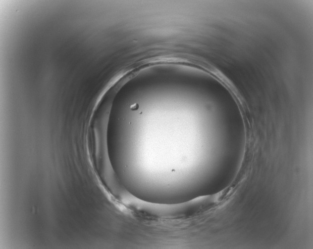 X0000067480909200604101226