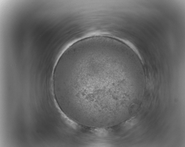 X0000067480911200604101226