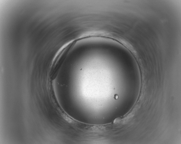 X0000067480912200604101226