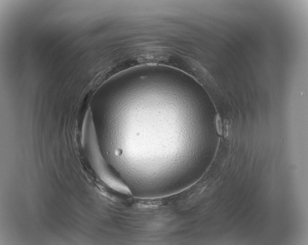 X0000067480915200604101225