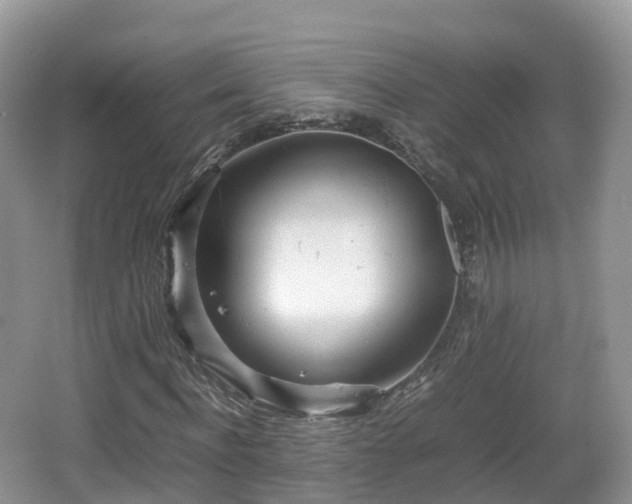 X0000067480916200604101225