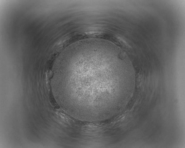 X0000067480917200604101225