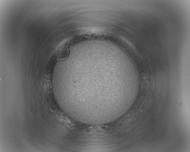 X0000067480918200604101225