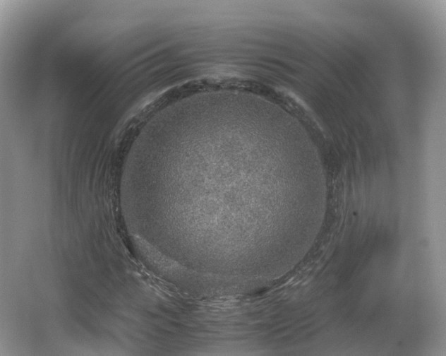 X0000067480919200604101225