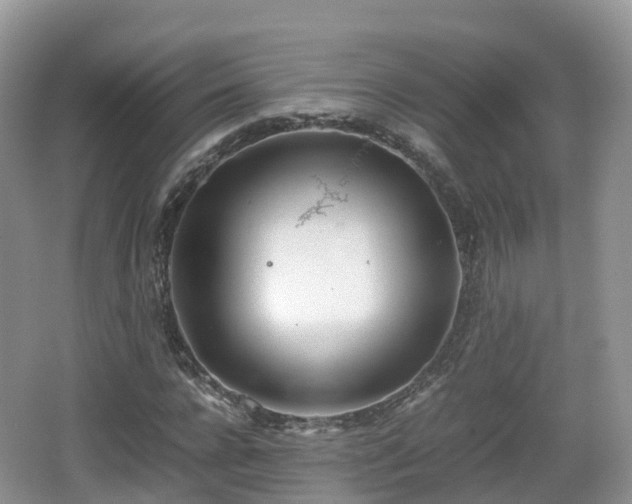 X0000067480920200604101225